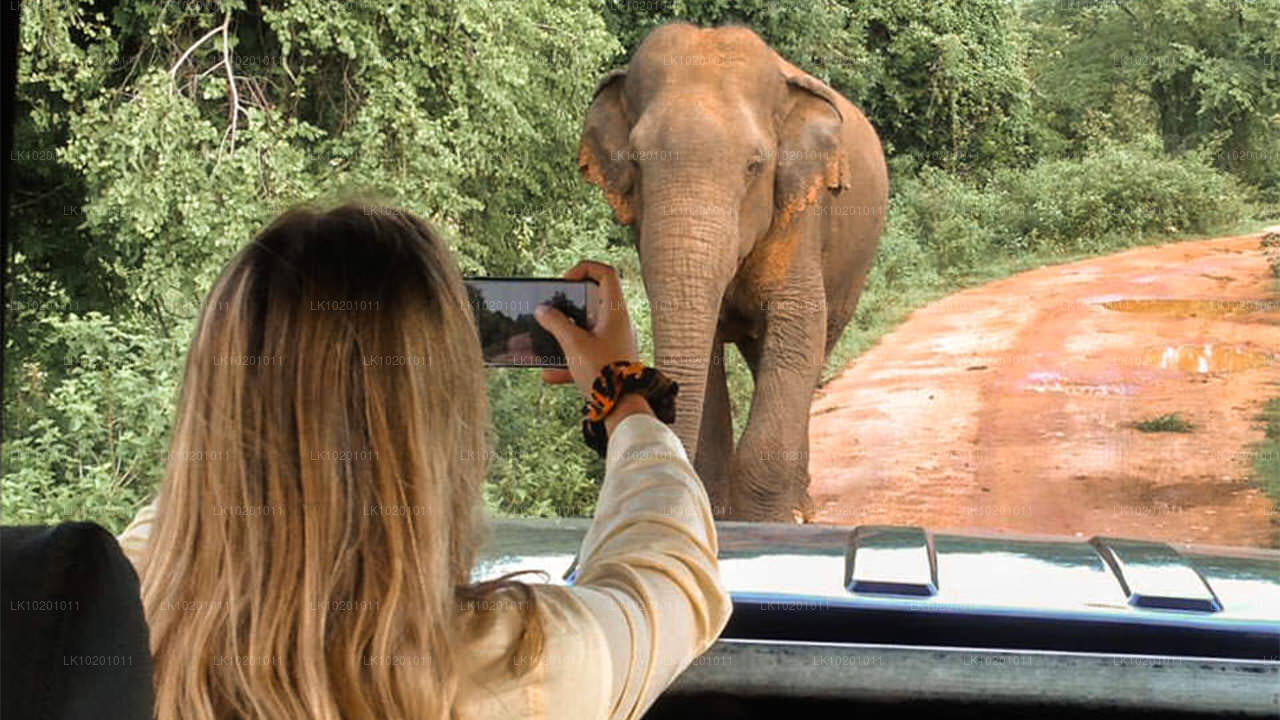 Udawalawe et Galle depuis Colombo (2 jours)