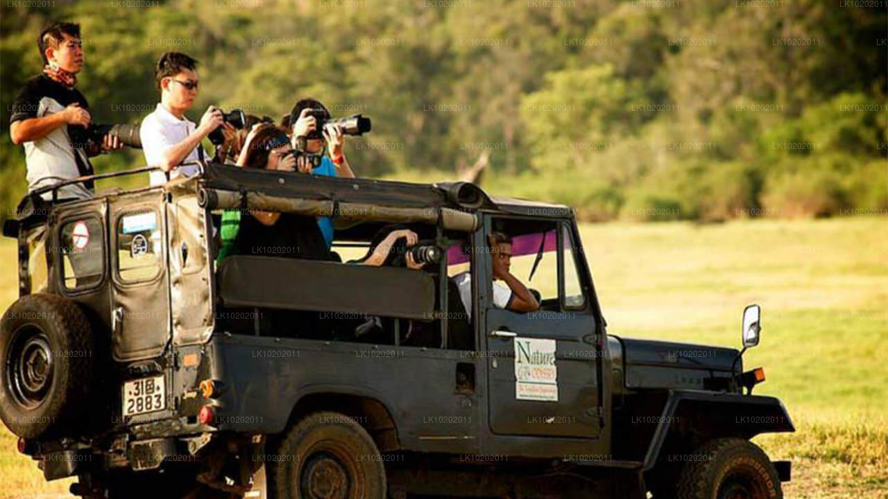 Sigirya et Minneriya depuis Colombo (2 jours)