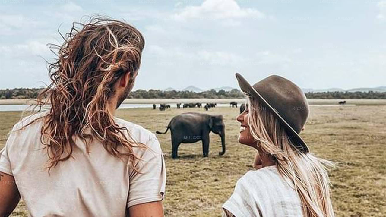 Sigirya et Minneriya depuis Colombo (2 jours)