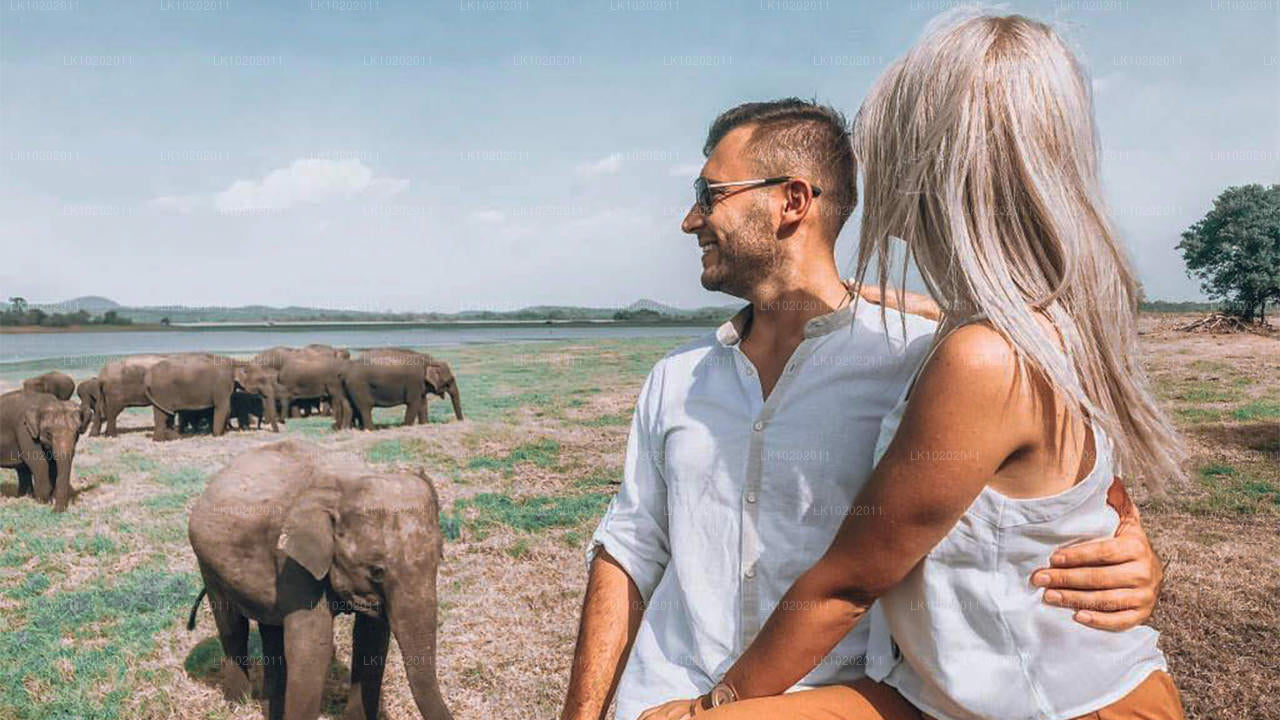 Sigirya et Minneriya depuis Colombo (2 jours)