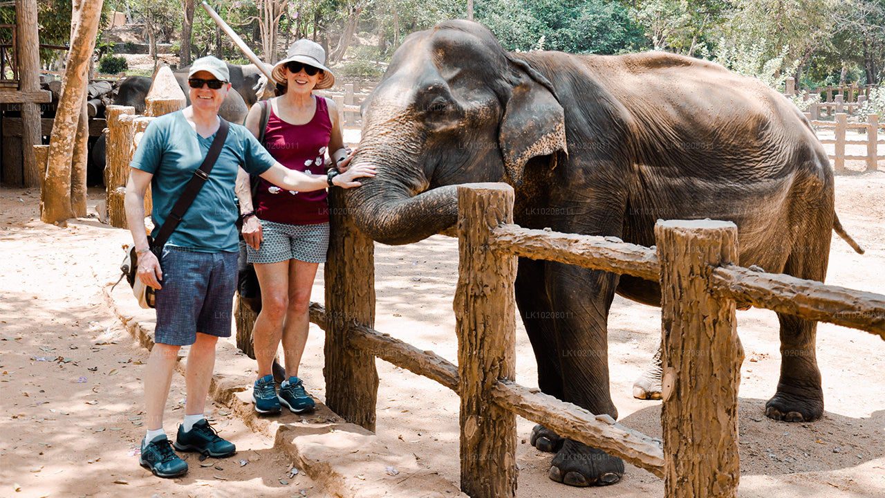 La culture des collines au départ de Colombo (2 jours)