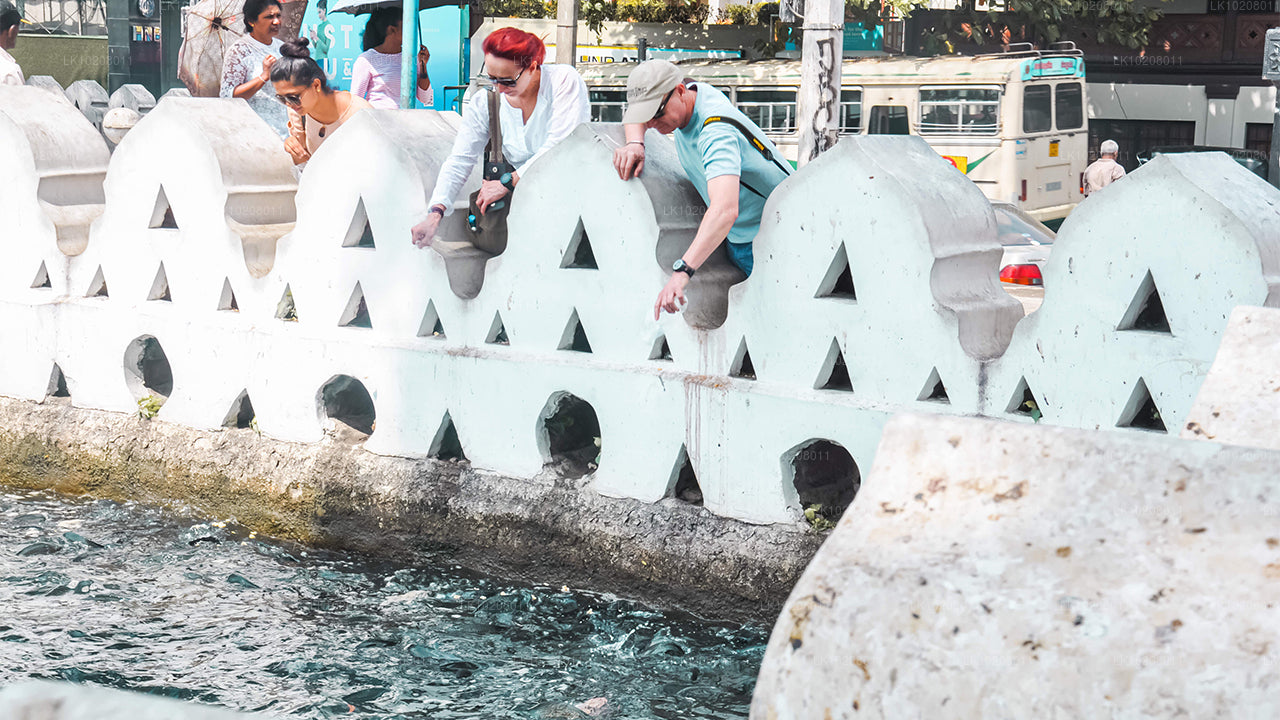 La culture des collines au départ de Colombo (2 jours)