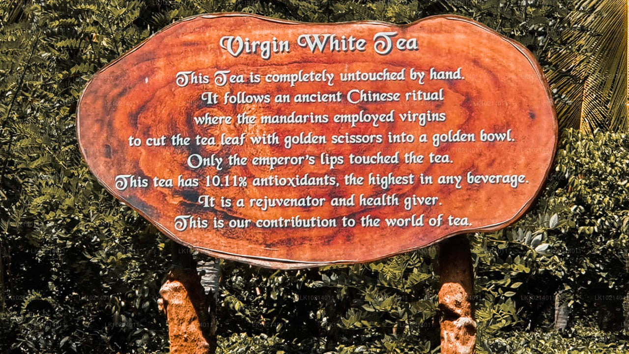 Ahangama et Mirissa depuis Bentota (2 jours)