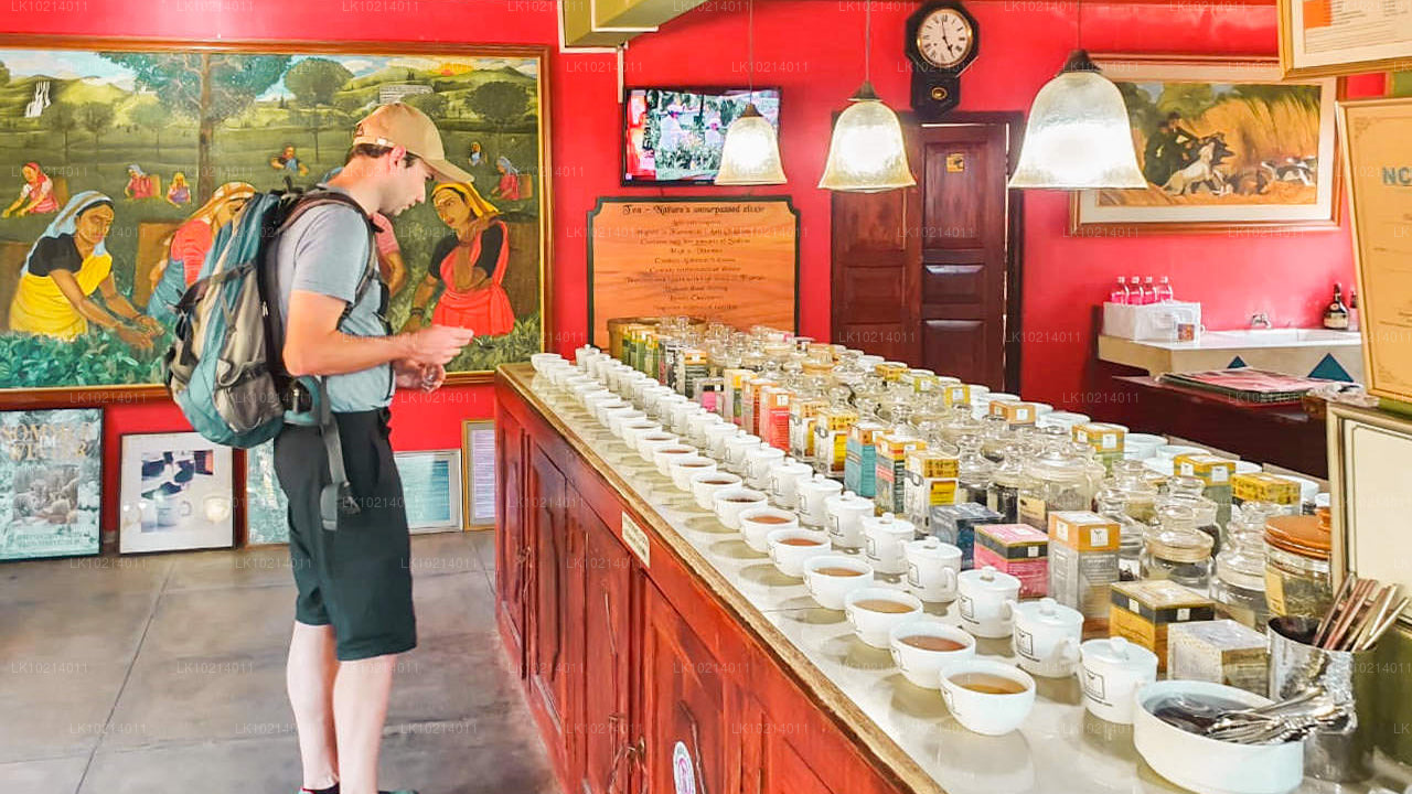 Ahangama et Mirissa depuis Bentota (2 jours)