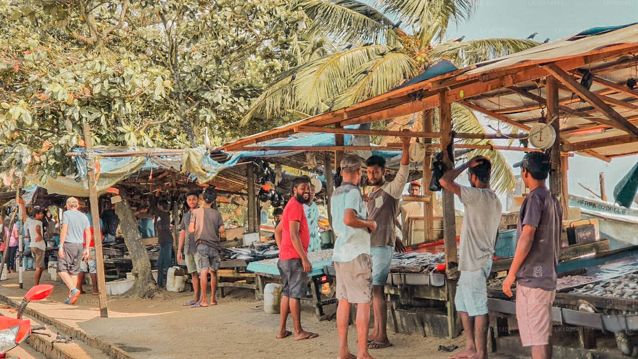 Ahangama et Mirissa depuis Bentota (2 jours)