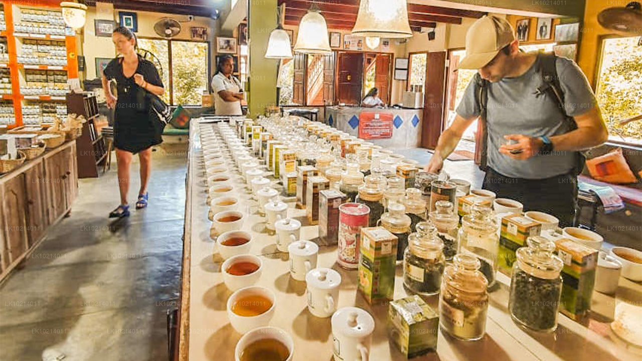 Ahangama et Mirissa depuis Bentota (2 jours)