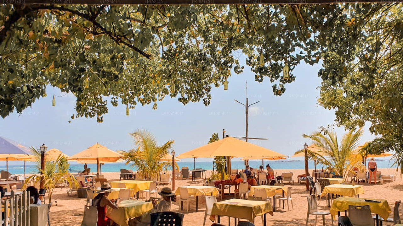 Ahangama et Mirissa depuis Bentota (2 jours)