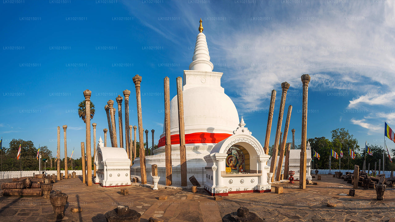 Excursion aux merveilles sauvages et aux espaces sacrés au départ de Galle (2 jours)