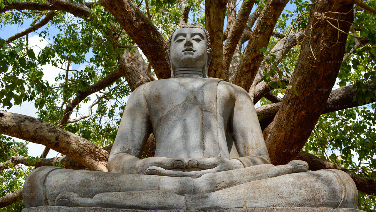 Excursion aux merveilles sauvages et aux espaces sacrés au départ de Galle (2 jours)