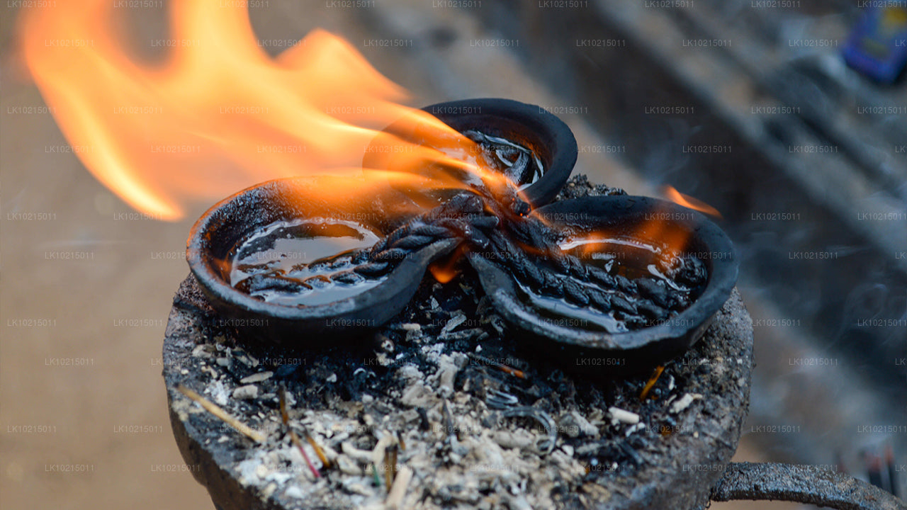 Excursion aux merveilles sauvages et aux espaces sacrés au départ de Galle (2 jours)