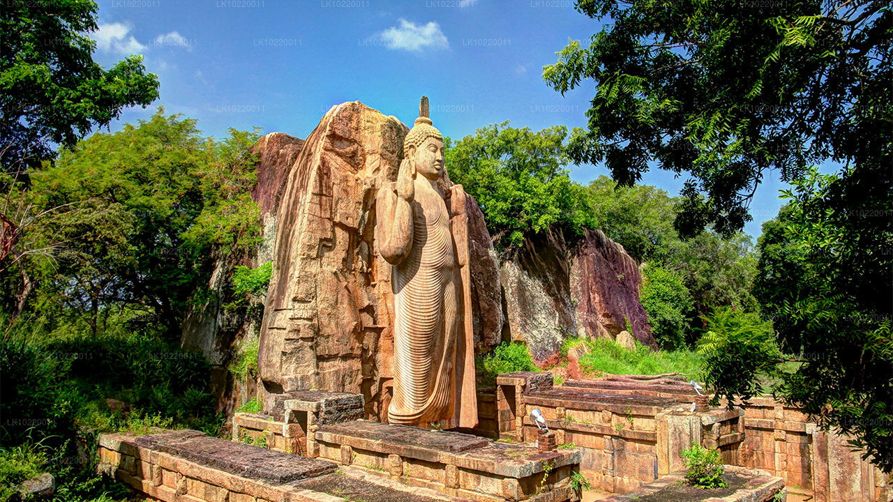 Ethos de Ceylan au départ de Kandy (2 jours)
