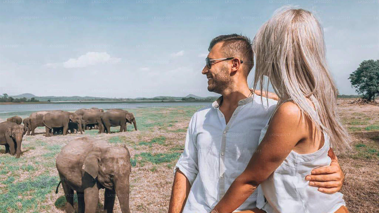 Ethos de Ceylan au départ de Kandy (2 jours)