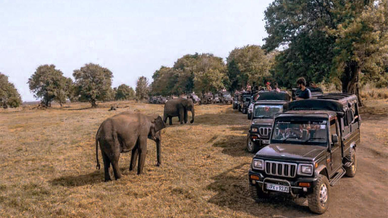 Ethos de Ceylan au départ de Kandy (2 jours)