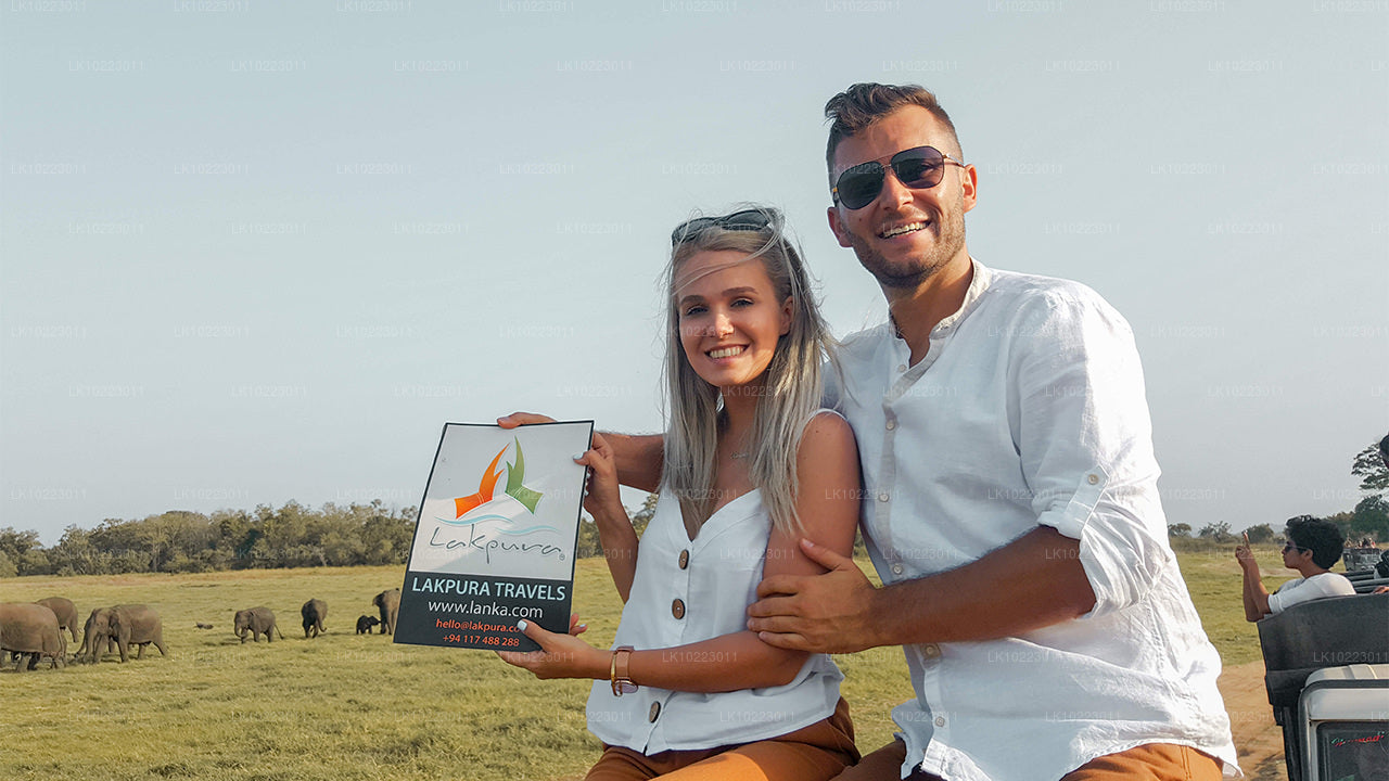 Sigirya et Minneriya depuis Negombo (2 jours)