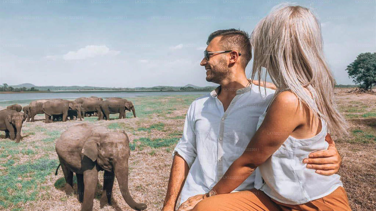 Sigirya et Minneriya depuis Negombo (2 jours)