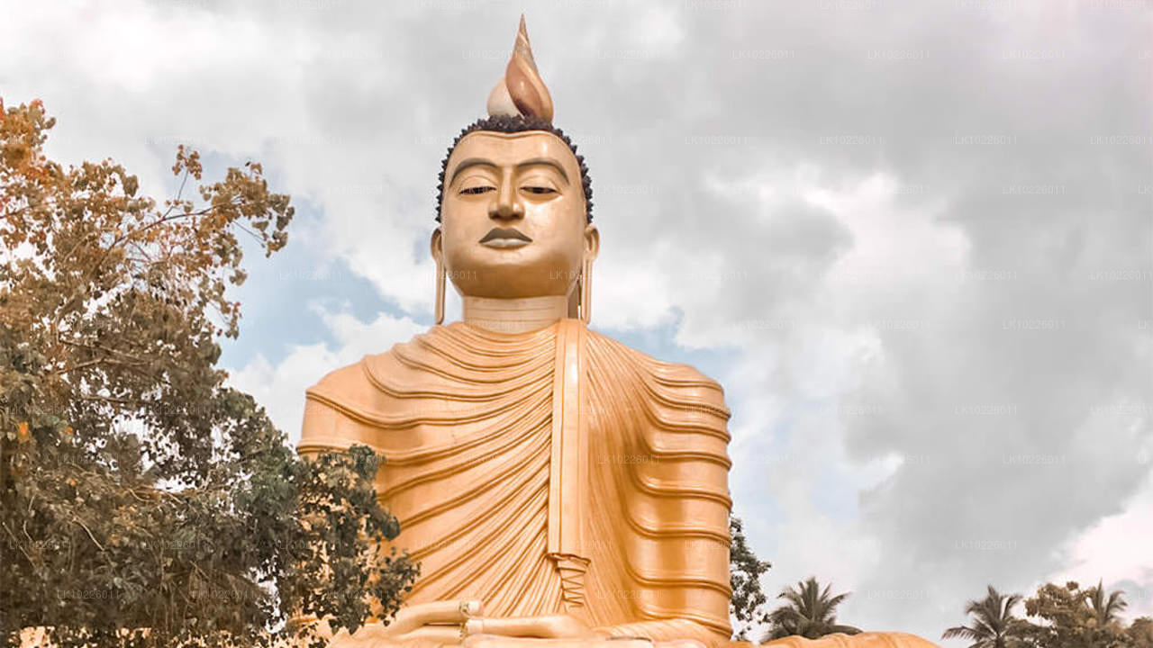 Temples et nature sauvage depuis Negombo (2 jours)