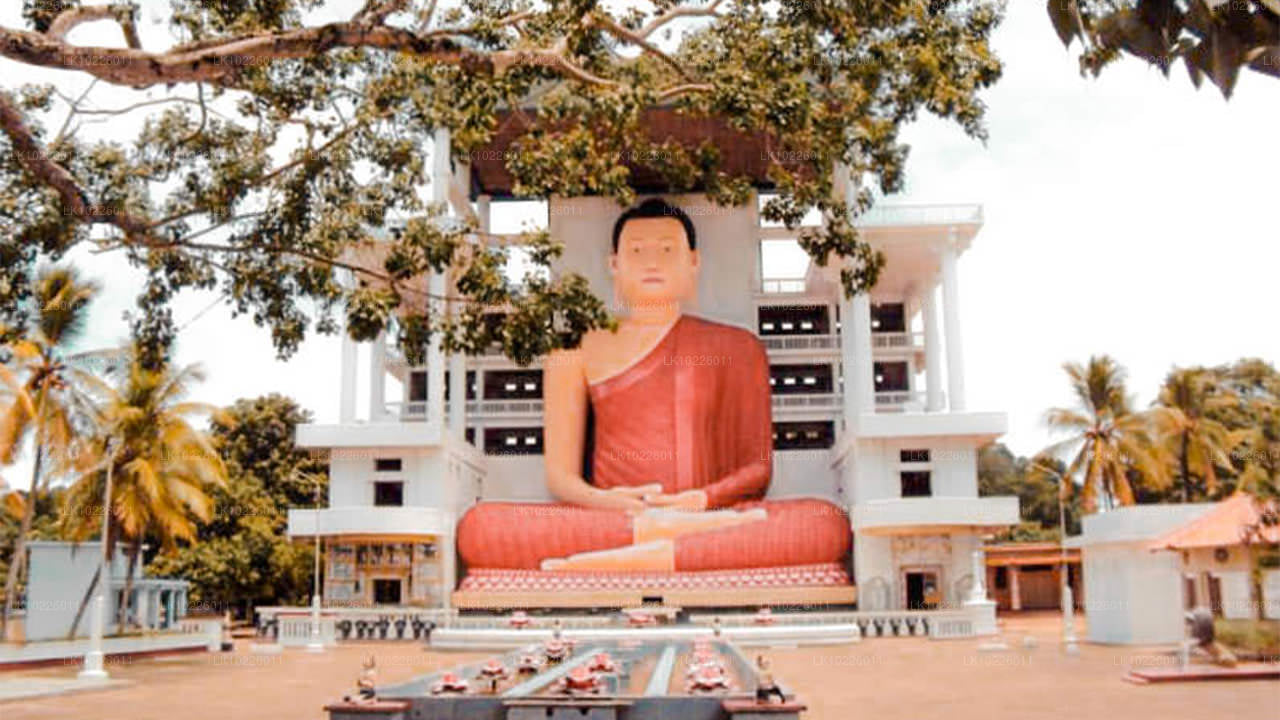 Temples et nature sauvage depuis Negombo (2 jours)