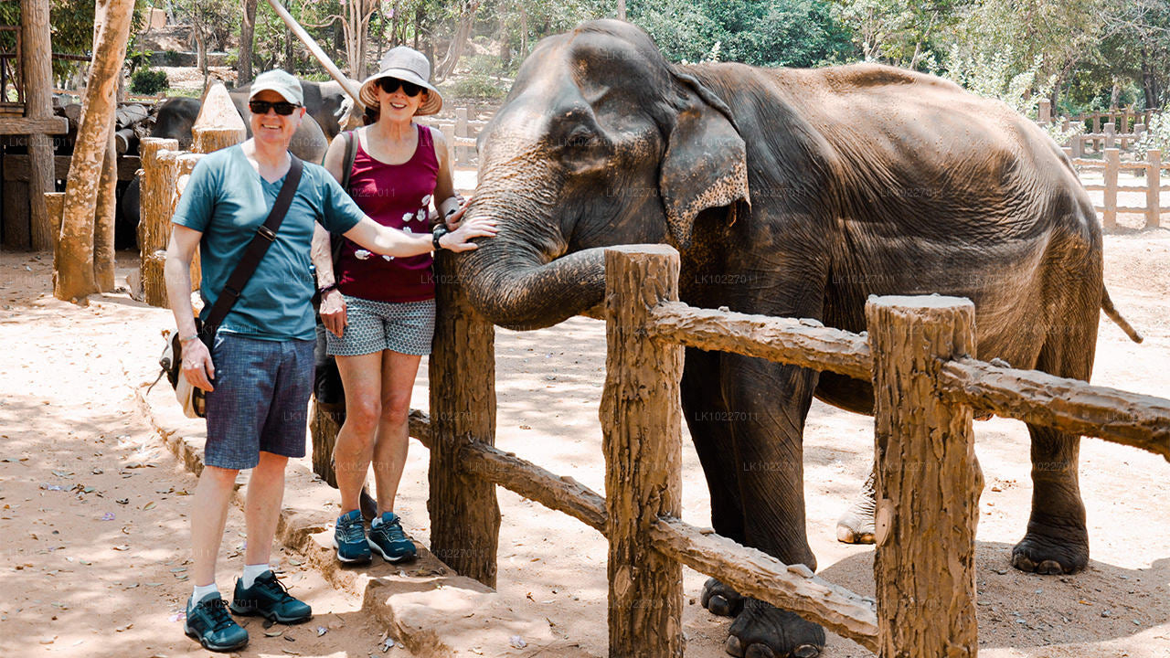 La culture des collines depuis Negombo (2 jours)