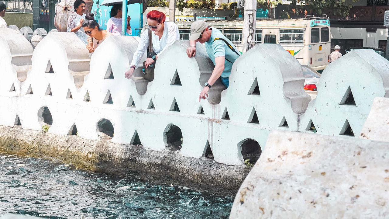 La culture des collines depuis Negombo (2 jours)