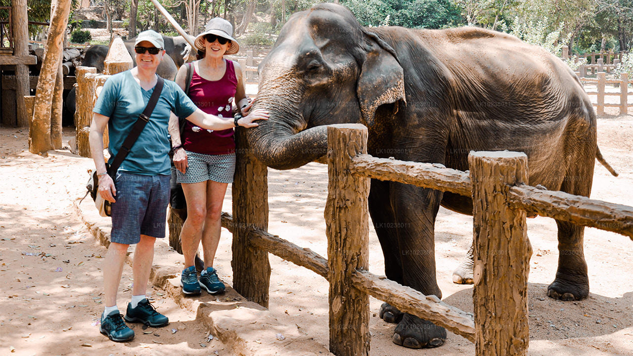 Visite de la culture des collines au départ de Hikkaduwa (2 jours)