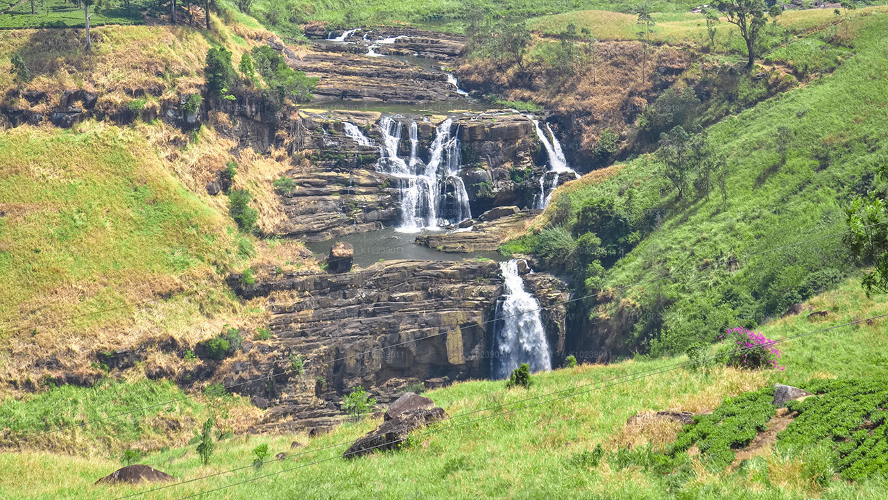 Sentiers des montagnes brumeuses au départ de Galle (2 jours)