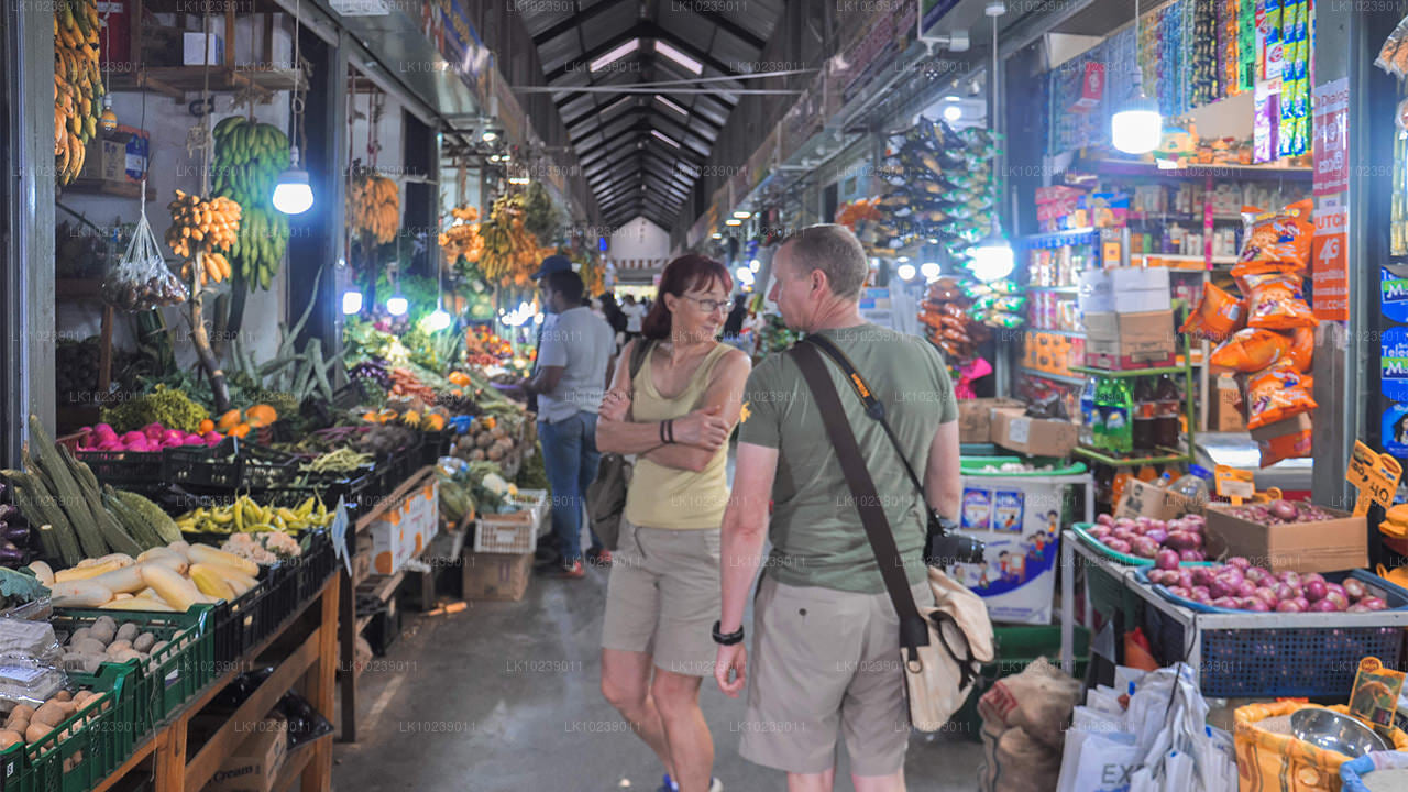 Sentiers des montagnes brumeuses au départ de Galle (2 jours)