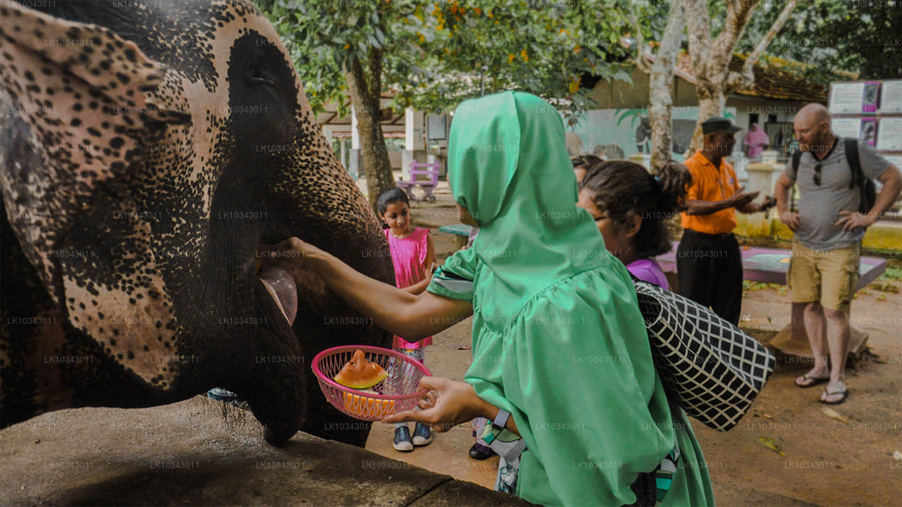 Wonder Island (3 jours)