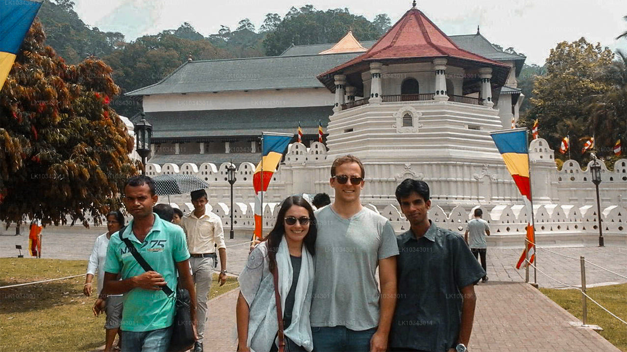 Wonder Island (3 jours)