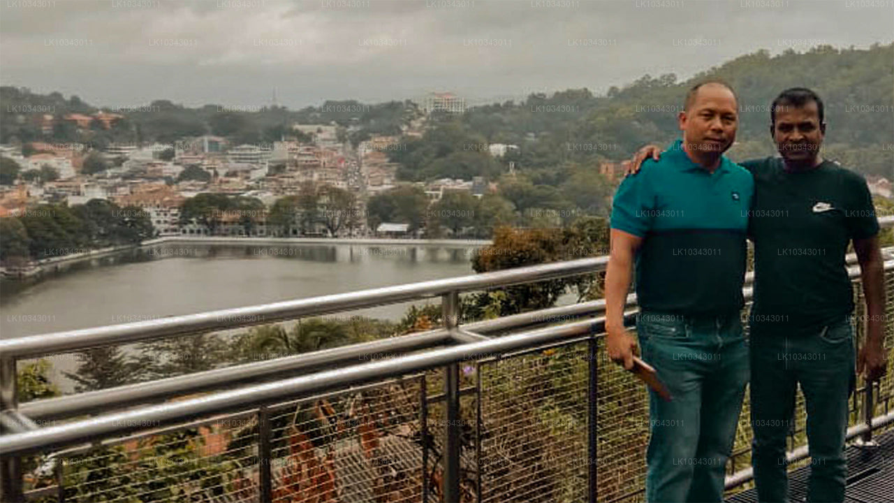 Wonder Island (3 jours)