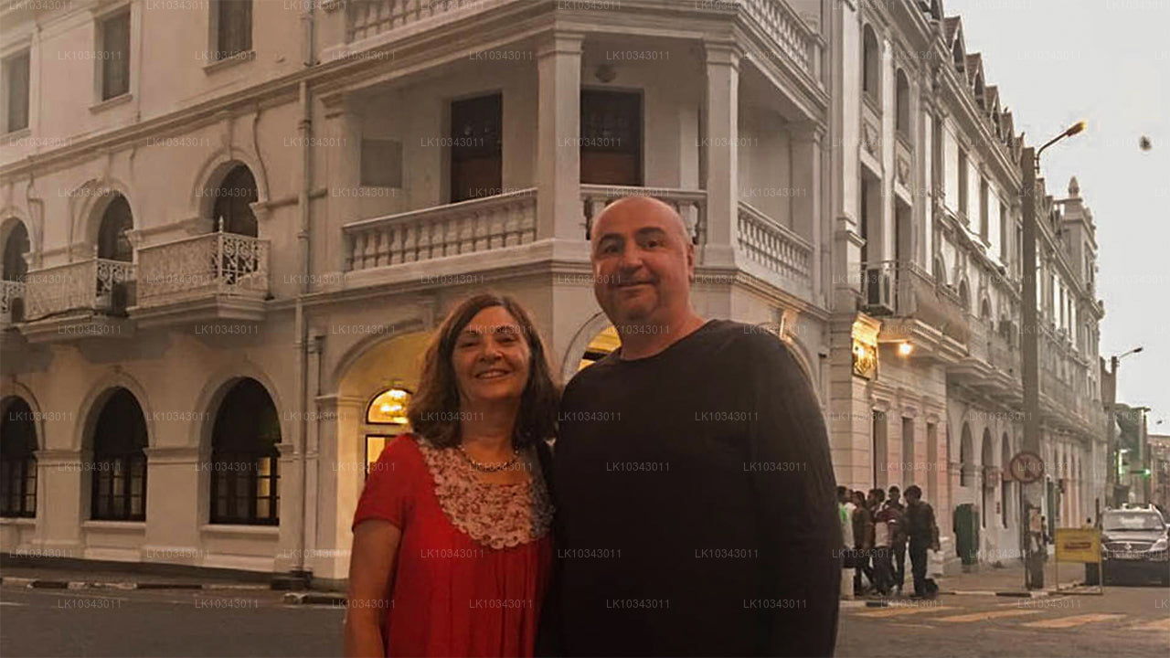 Wonder Island (3 jours)