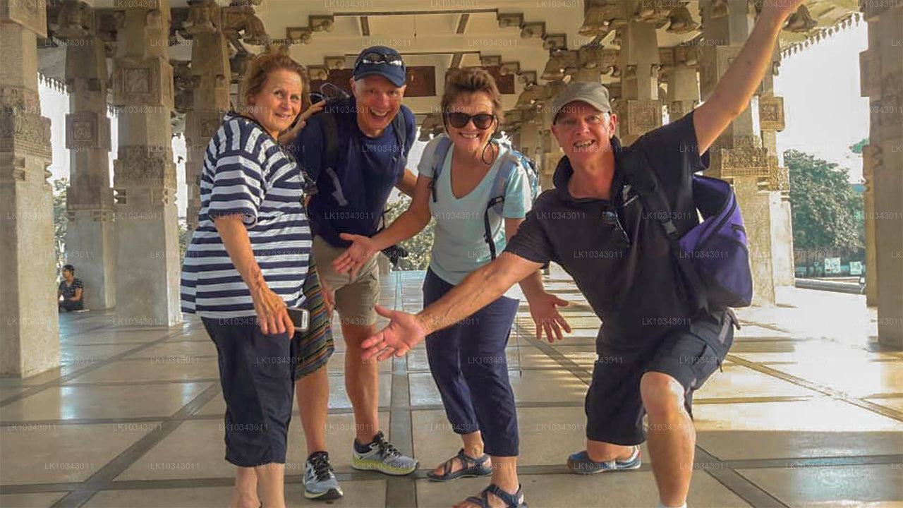 Wonder Island (3 jours)