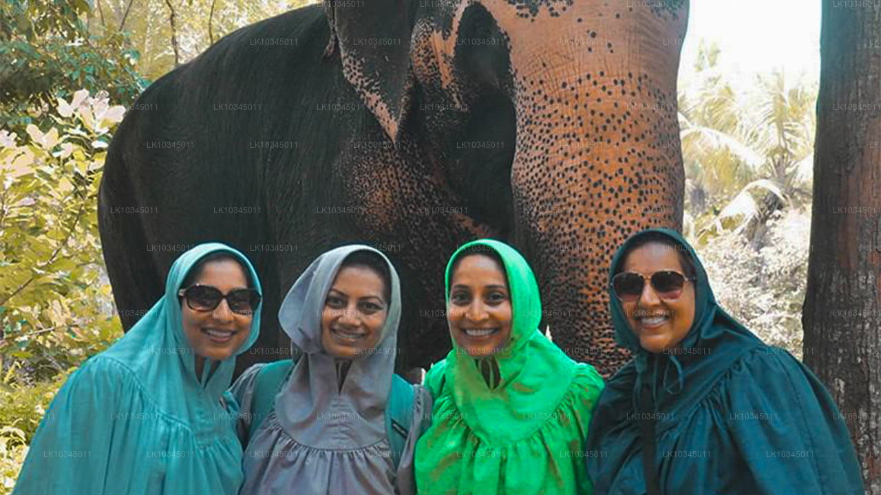 Dernier royaume du Sri Lanka au départ de Colombo (3 jours)