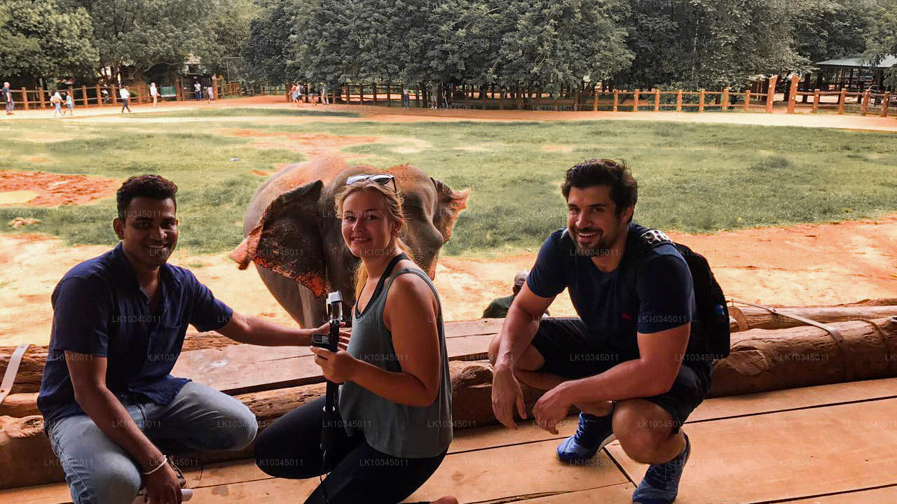 Dernier royaume du Sri Lanka au départ de Colombo (3 jours)