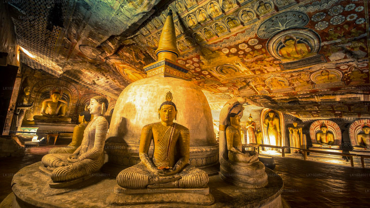 Contes de l'ancienne île de Ceylan depuis Colombo (3 jours)