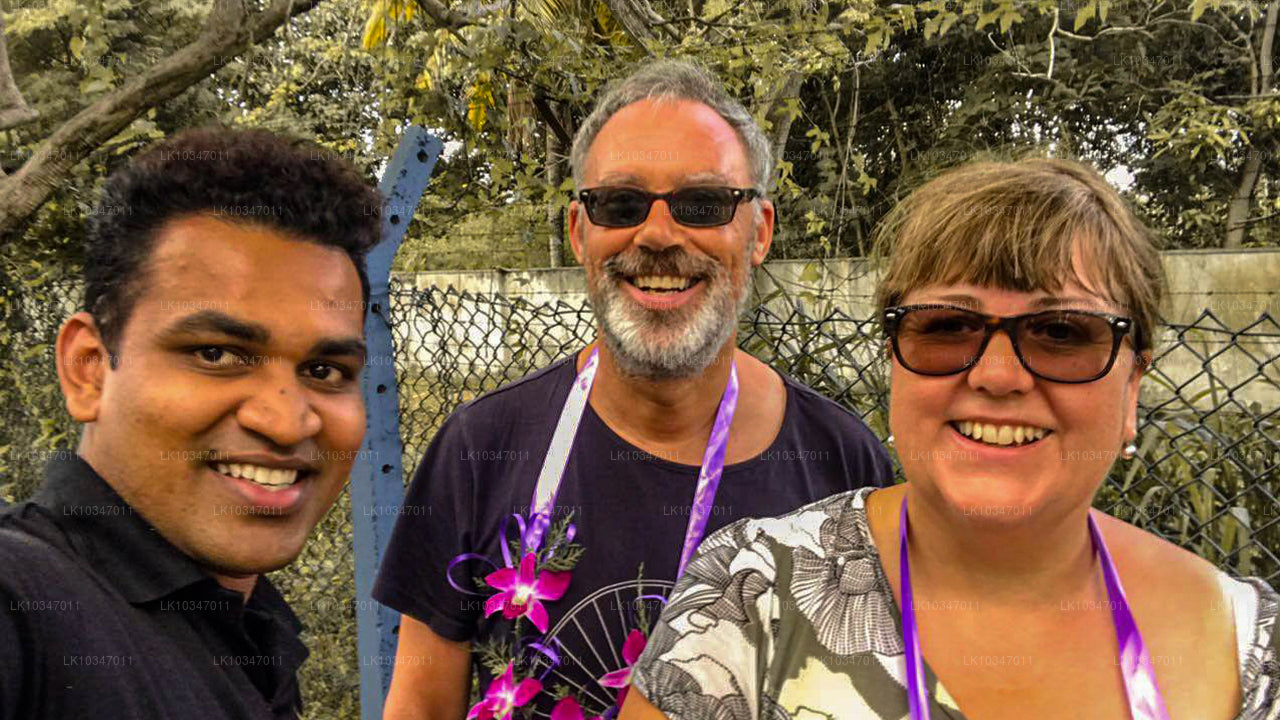 Ville sacrée d'Anuradhapura depuis Colombo (3 jours)