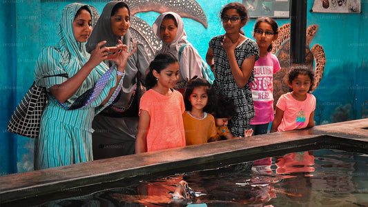 Cosy Sri Lanka (3 jours)