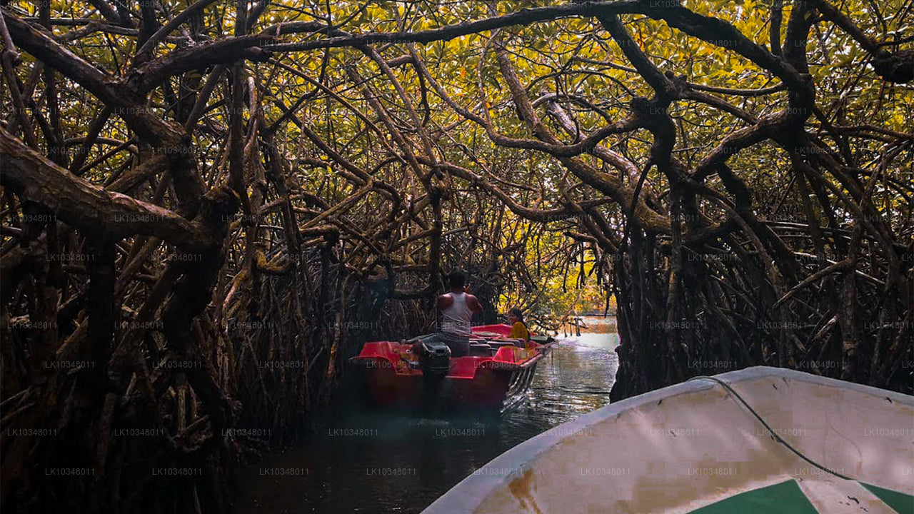Cosy Sri Lanka (3 jours)