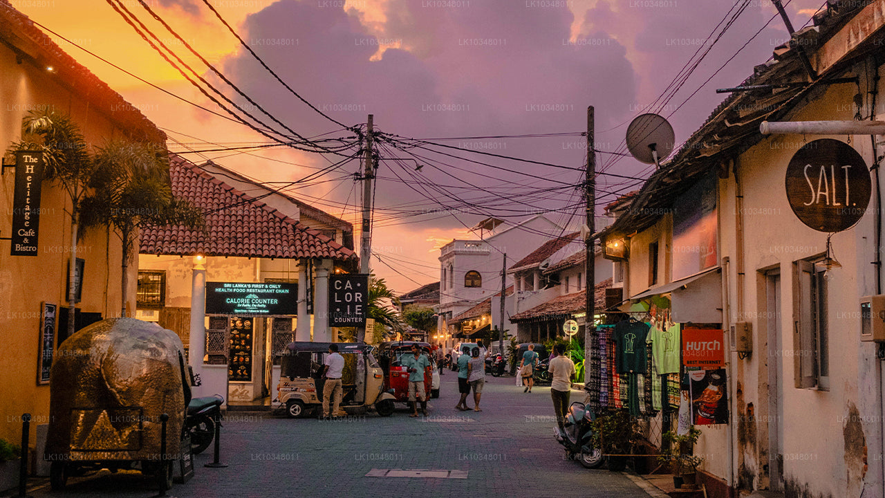 Cosy Sri Lanka (3 jours)