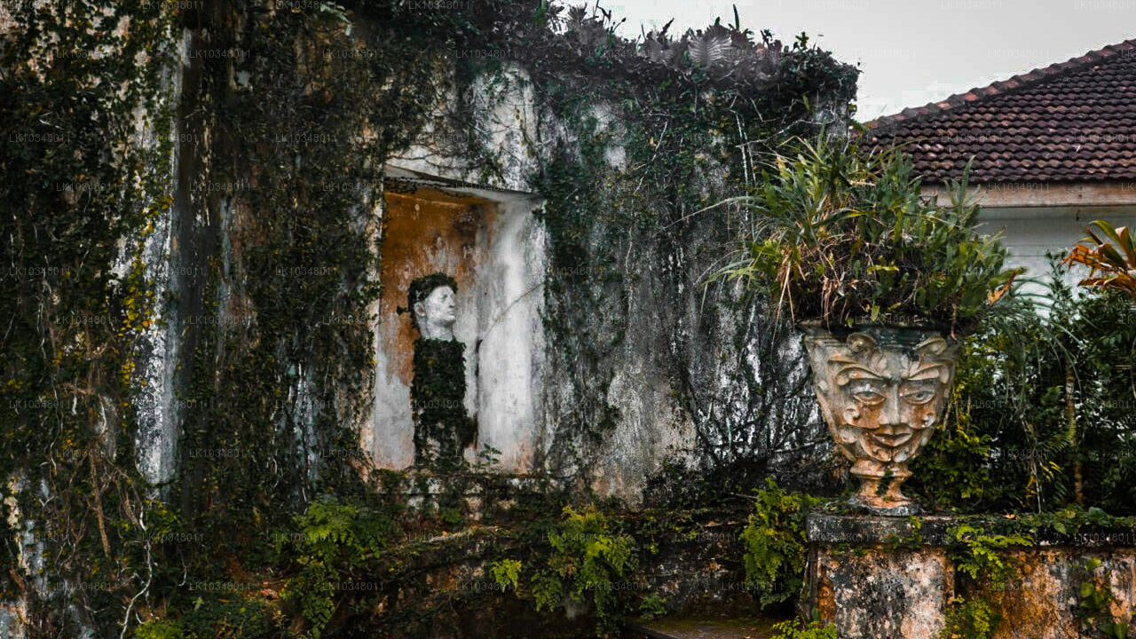 Cosy Sri Lanka (3 jours)