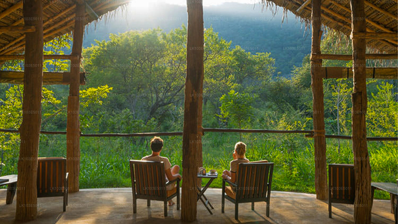 Excursions écologiques au Sri Lanka (3 jours)