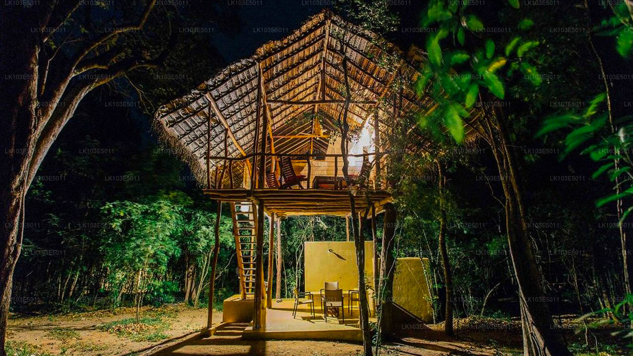 Excursions écologiques au Sri Lanka (3 jours)