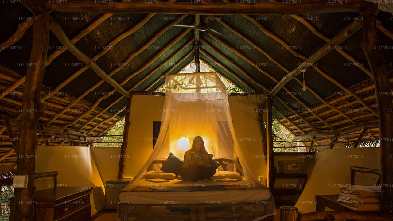 Excursions écologiques au Sri Lanka (3 jours)