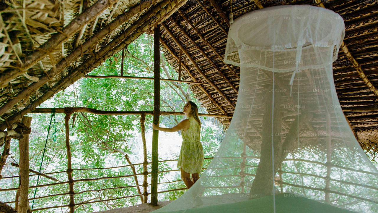 Excursions écologiques au Sri Lanka (3 jours)