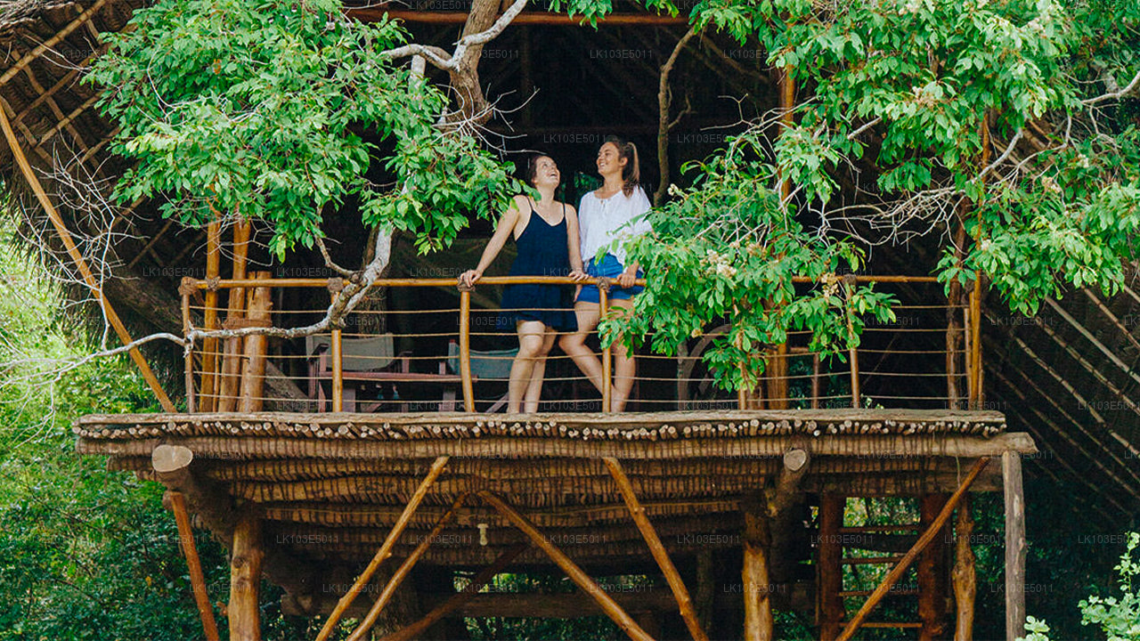 Excursions écologiques au Sri Lanka (3 jours)