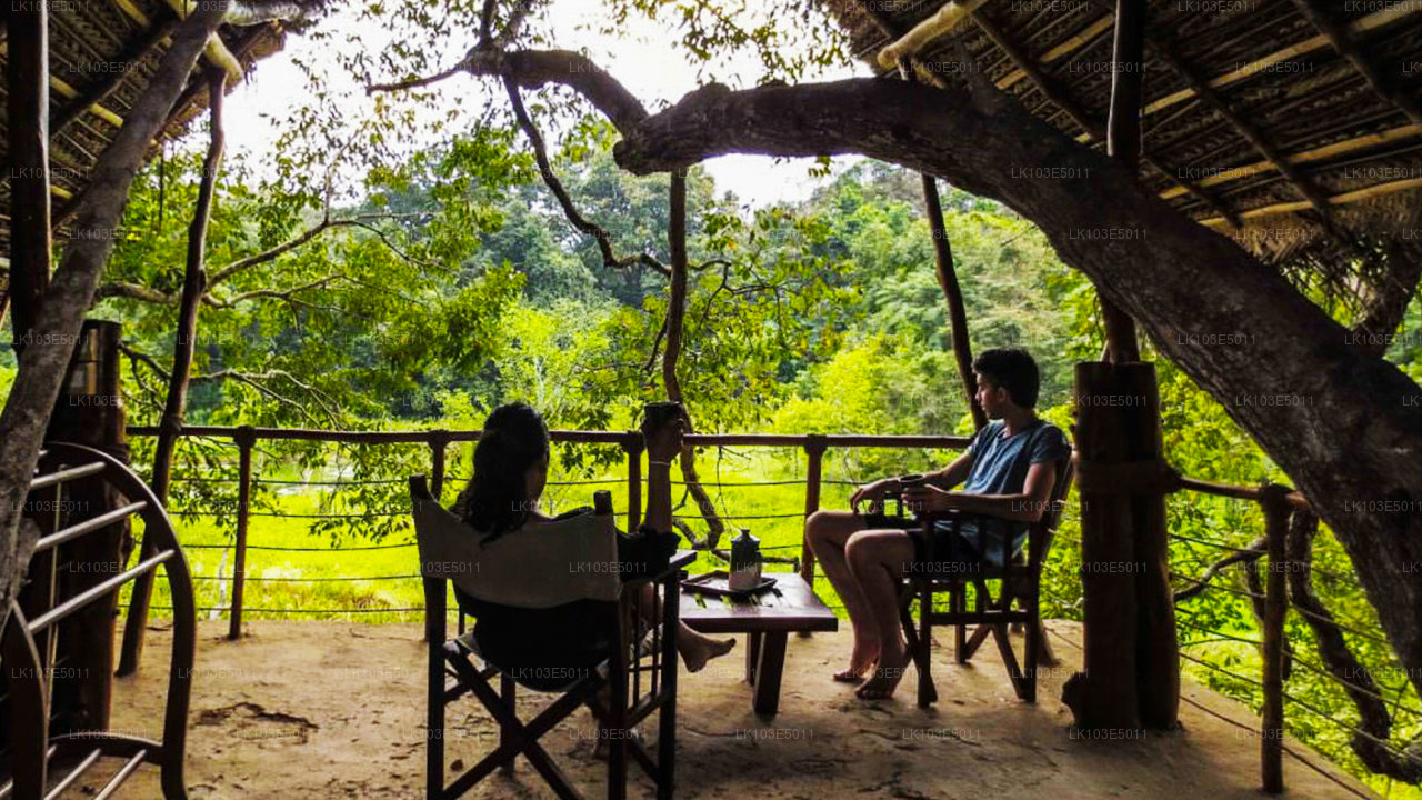 Excursions écologiques au Sri Lanka (3 jours)