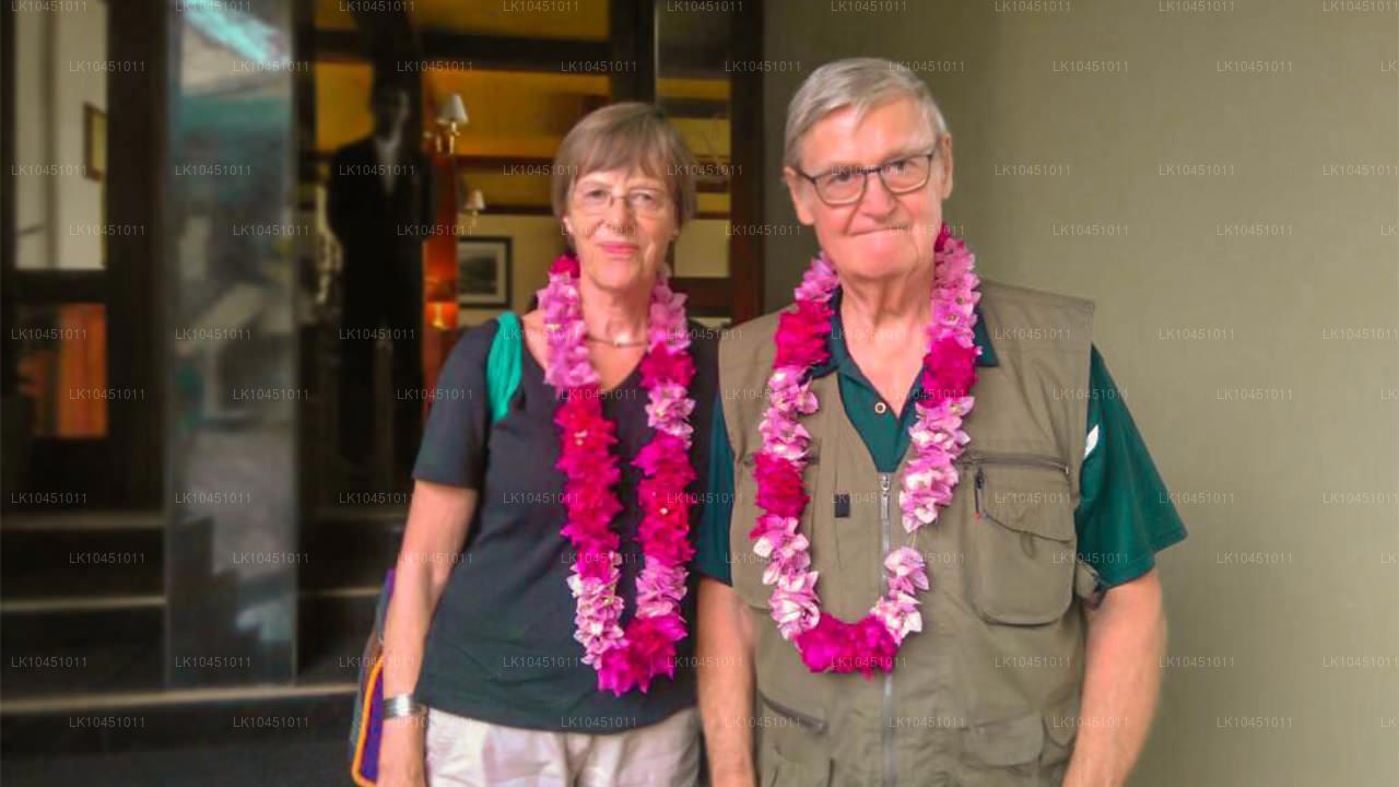 Tour du Sri Lanka au départ de Colombo (4 jours)