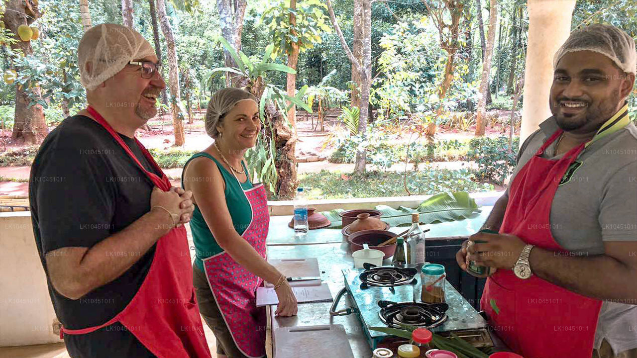 Tour du Sri Lanka au départ de Colombo (4 jours)