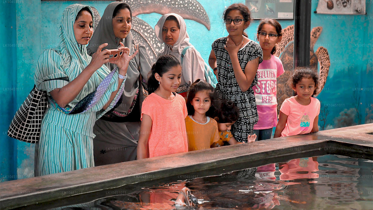 Tour du Sri Lanka au départ de Colombo (4 jours)