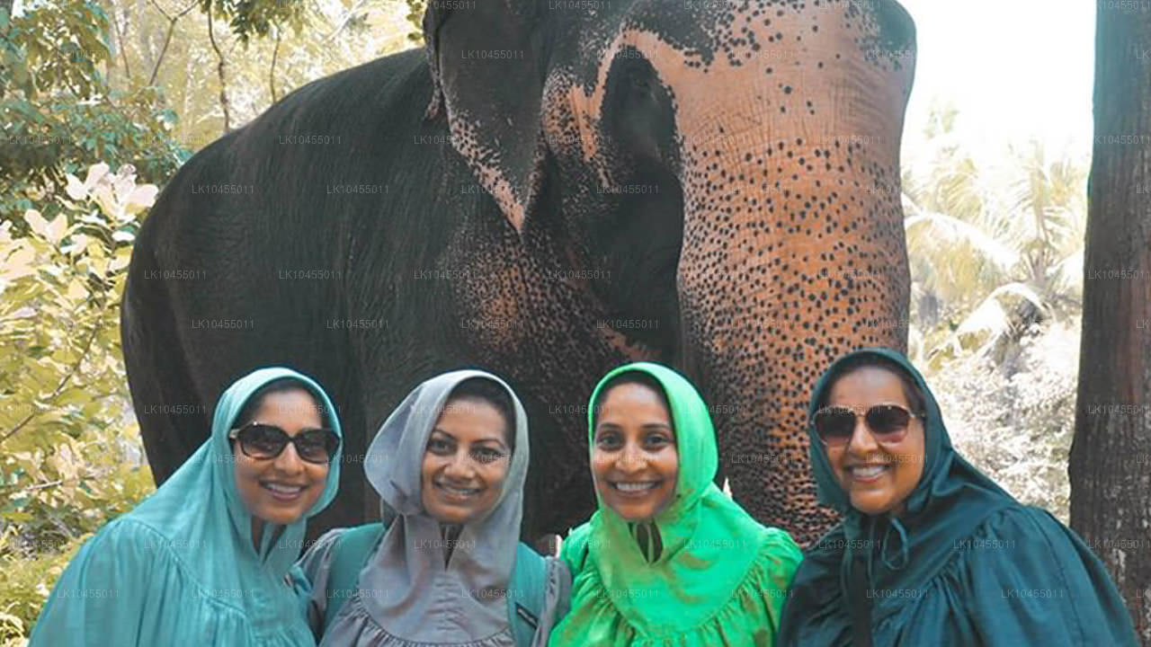 Circuit aborigène du Sri Lanka (4 jours)