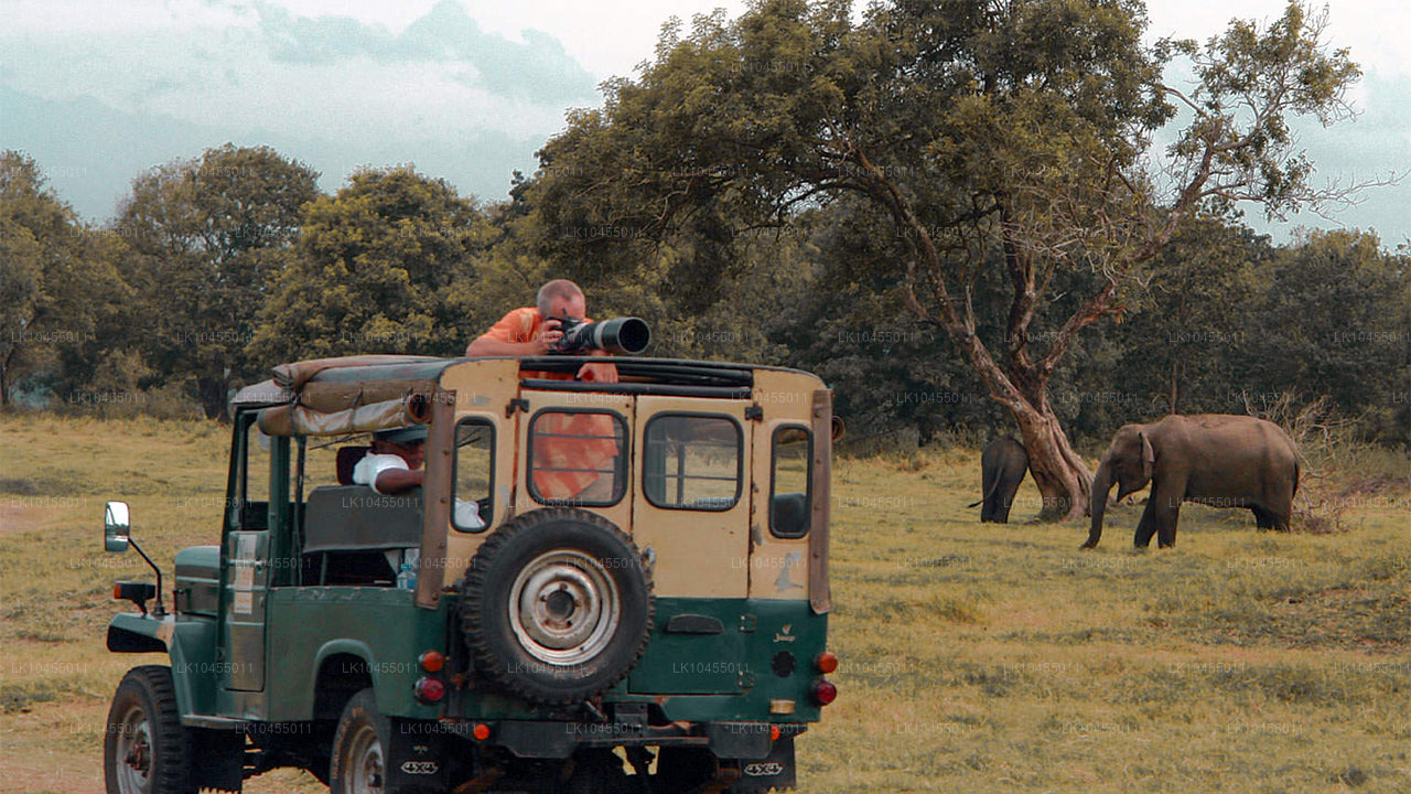 Circuit aborigène du Sri Lanka (4 jours)